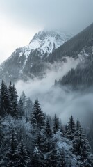 Fototapeta premium Sunset in the mountains, snow mountains