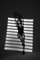 beldade sexy foto sensual com luz e sombras da janela 