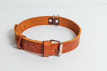 Leather dog belt on white background, product photography