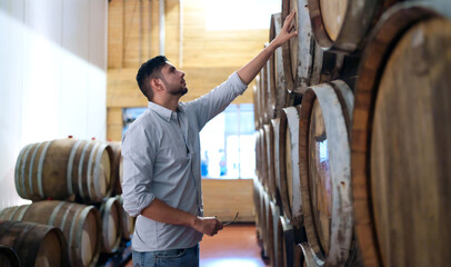 Professional man winemaker working and inspecting wine quality in wine cellar with wooden barrel in...