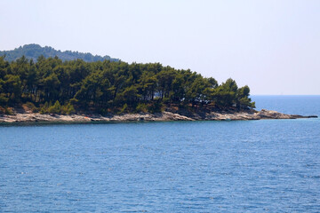 Fototapeta premium Lush plants on the small island in the Adriatic sea.