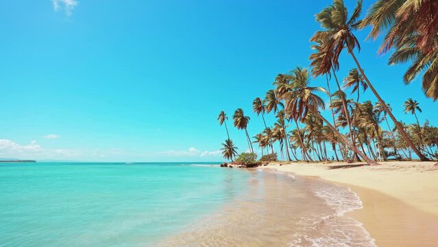 Summer vacation on exotic sunny tropical Indian paradise beach with golden sand. Holidays on the Seychelles islands with palm trees. In good sunny weather and azure sea. Travel to a tropical paradise.