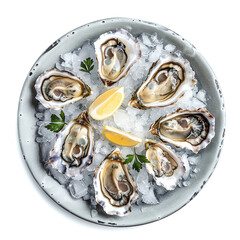 fresh oysters on ice platter with lemon, top view luxurious seafood isolated on white background