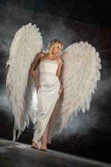 Beautiful girl an angel with white wings posing on the dark background.