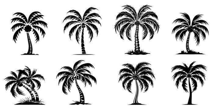 set of palm tree vector illustration silhouette for laser cutting cnc, engraving, decorative clipart, black shape outline