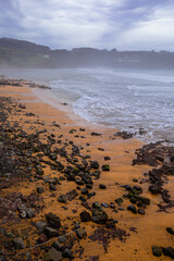 Landscape of a beach in winter