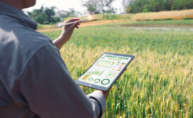 Modern farmer future agricultural industry technology 4.0, artificial intelligence (AI), 5g tablets to analyze data of smart farms, control the quality of plants in the soil produces precise results.