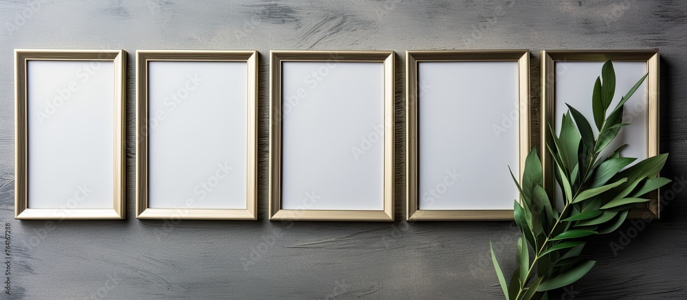 Poster three empty golden frames displayed with a green plant on a plain gray background