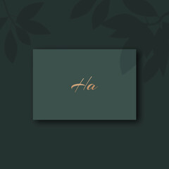 Ha logo design vector image