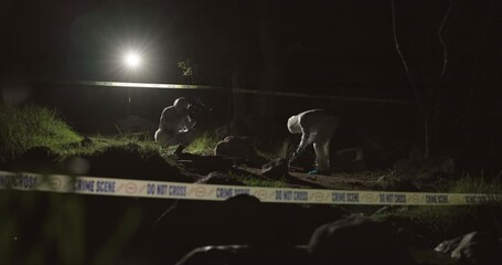 Forensic team, photographer and crime scene at night for investigation or observation with hazmat or police tape. Collaboration, expert investigator or outdoor in forest for evidence or case research
