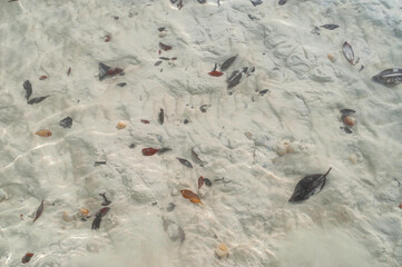 playa, mar, arena, acuático, oceáno