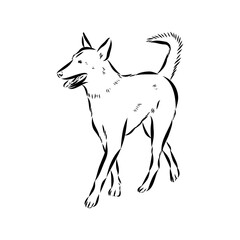 Scenes of dog training with cartoon characters of man and his pet learning various commands