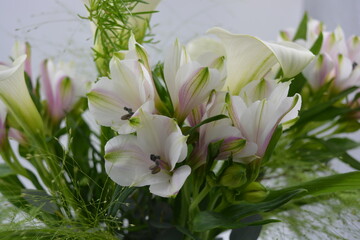 A beautiful, festive bouquet, composition of white calla lilies, purple white orchids, flowers,...