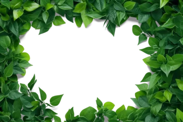 Fototapete Rund Fresh green leaf landscape background © PNG FOR YOU