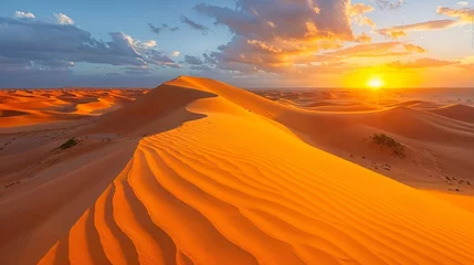 Foto op Plexiglas Desert landscape at sunset, sand dunes and colorful clouds on sky © Rawf8