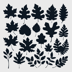 oak leaf silhouette set