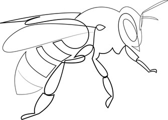 One continuous line drawing of bee. Single line wasp logo. Vector illustration.