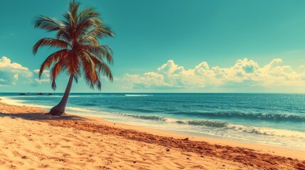 Fototapeta na wymiar A beachside palm tree surrounded by blue sky and ocean