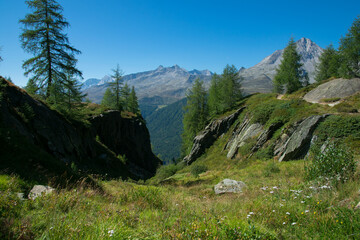 Typical alpine landscape in Valle Aurina, Alto Adige, Italy - 764196263
