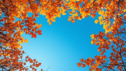  A blue sky in the background, surrounded by white clouds, with orange leaves in the foreground