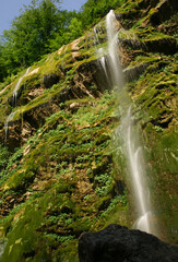 Naklejka na ściany i meble Saklikent Waterfall in Yigilca, Duzce, Turkey.