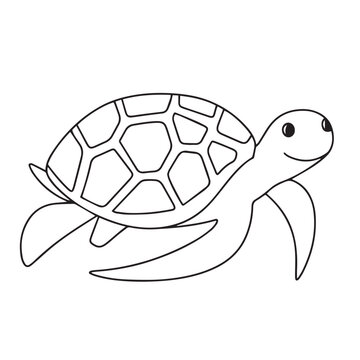 Turtle in doodle style isolated on transparent background. Hand drawn vector art