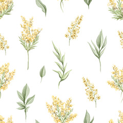 Seamless pattern with vintage various green twigs and mimosa yellow flowers set isolated on white background. Watercolor hand drawn illustration sketch