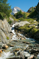 View of a little alpine stream in Valle Aurina, Alto Adige, Italy - 764201644