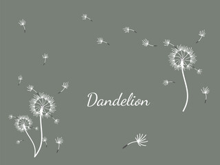 Dandelion_background1-32.eps