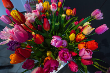 Tulipany ozdobne różne światowe odmiany w wazonowym wiosennym bukiecie. - obrazy, fototapety, plakaty