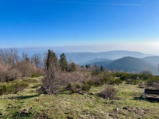 Tranquil Vosges Mountain Panorama from the Summit of Ebeneck, Haut-Rhin, Alsace, France