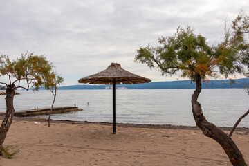 Straw umbrella on idyllic sand beach Plaza Brzet in coastal town Omis, Split-Dalmatia, Croatia, Europe. Adriatic Mediterranean Sea in summer on Balkans. Vacation concept. Aleppo pine trees. Overcast