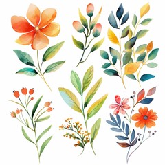Vibrant Watercolor Botanical Illustrations Set with Flowers and Leaves