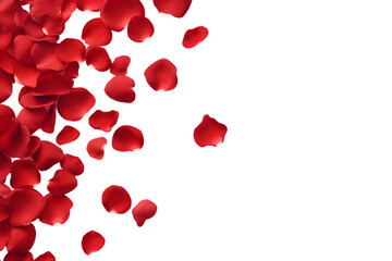 Top view Red rose petals on transparent background 