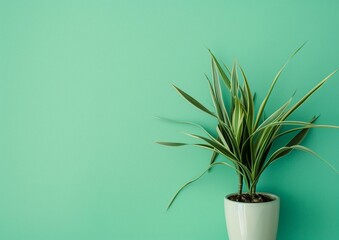 Modern Minimalist Home Decor with Potted Spider Plant on Pastel Green Background