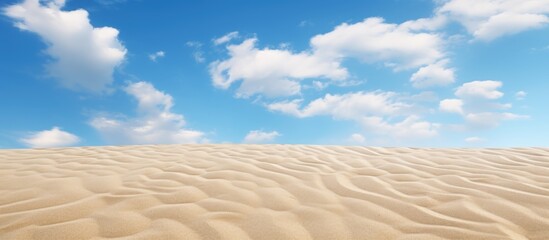 A close-up view of a sandy beach with grains of sand and seashells scattered on the shore, under a serene blue sky backdrop