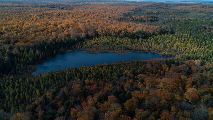 An aerial shot of a blue pond surrounded by a colorful forest in the fall on a sunny day