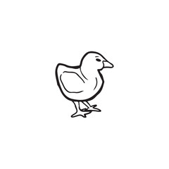 Beautiful realistic chick standing in black isolated on white background. Hand drawn vector sketch illustration in doodle engraved vintage line art style. Concept of farm, incubation, domestic animal.