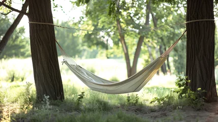 Schilderijen op glas A hammock strung between two sturdy trees, gently swaying in the warm summer breeze, offering the perfect spot for relaxation and contemplation in nature's embrace. © Nasreen