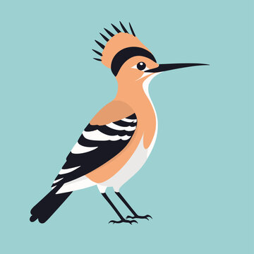 recommend clip art: Cute hoopoe bird cartoon illustration