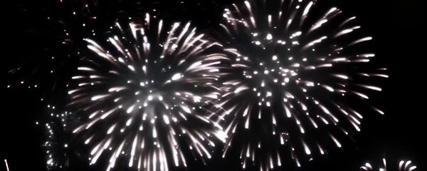 Starry Night Fireworks Display -  bright, starry appearance of the fireworks contrasts beautifully against the dark backdrop, conveying a mood of celebration and awe
