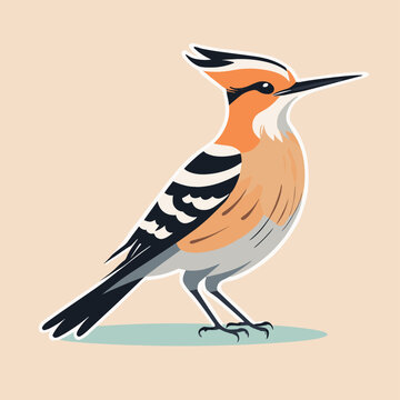 recommend clip art: Cute hoopoe bird cartoon illustration