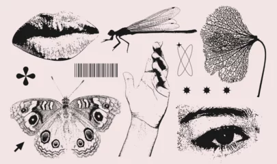 Tapeten Trendy elements set with a 2000s natural beauty aesthetic. Retro photocopy effect y2k eye, lips, dragonfly, butterfly, hand for vintage print design. Vector textured clipart © LanaSham