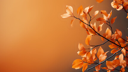Autumn Harmony Branches with copy space.
Branches with autumn leaves against a warm gradient background, perfect for seasonal themes and tranquil nature designs.