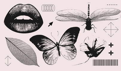 Lips, butterfly, dragonfly, flower, leaf realistic elements with a retro grainy photocopy effect. Y2k print for brutal design. Grain effect and stippling. Vector dots textured illustration collection.