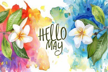 "HELLO MAY", text, colorful watercolor splashes with white frangipani flowers Generative AI