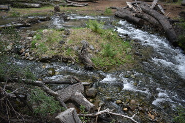 agua del rio que fruye en el bosque con rocas, troncos y ramas a su alrededor