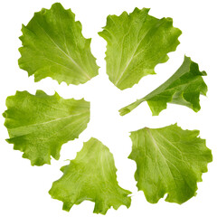 green salad leaves isolated png
