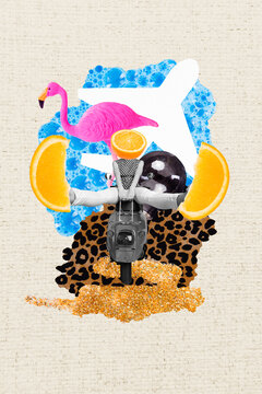 Composite photo collage of young headless lady orange fruit instead ride motorbike vivid background flamingo bubble flight animal print