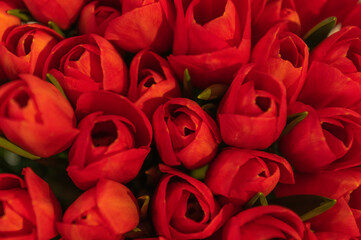 Tulipany ozdobne różne światowe odmiany w wazonowym wiosennym bukiecie - obrazy, fototapety, plakaty